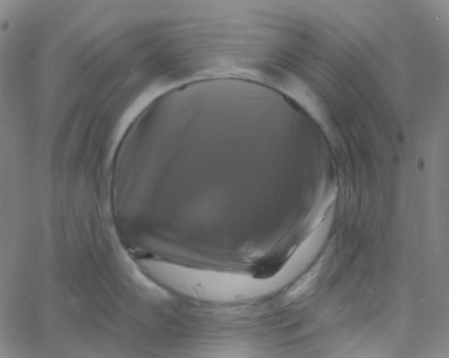 X0000061751102200512231519