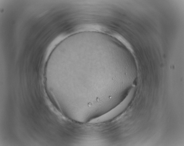 X0000061751104200512231519