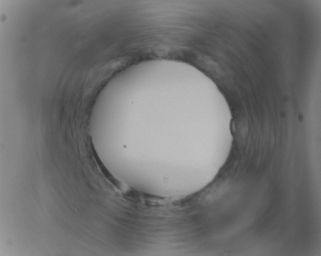 X0000061751105200512231518