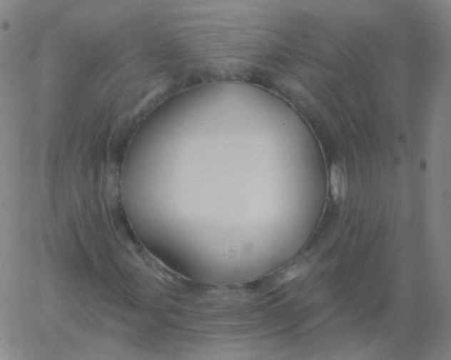 X0000061751107200512231518