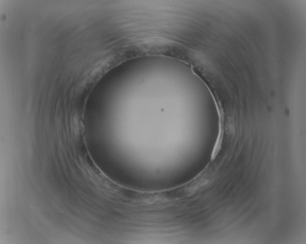 X0000061751108200512231518