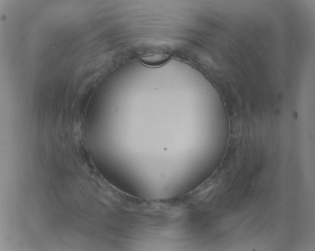 X0000061751109200512231518