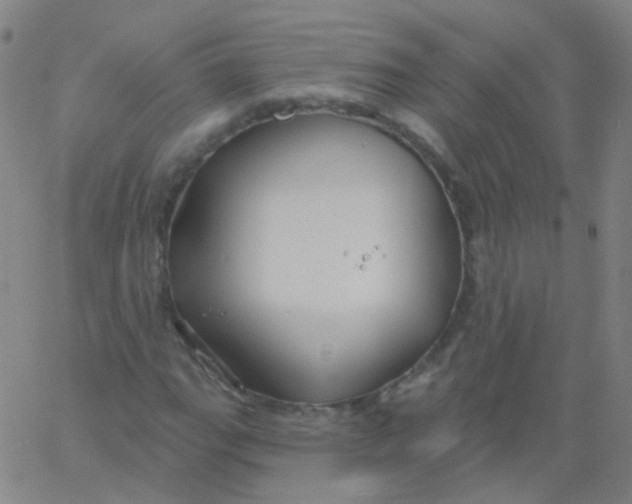 X0000061751111200512231518