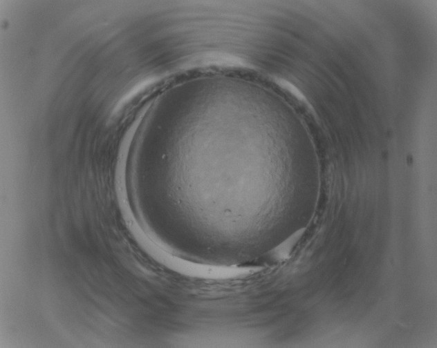 X0000061751112200512231518