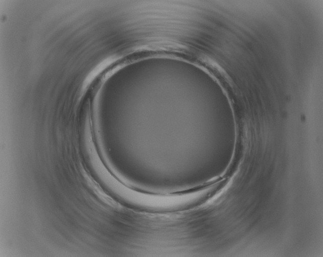 X0000061751114200512231518