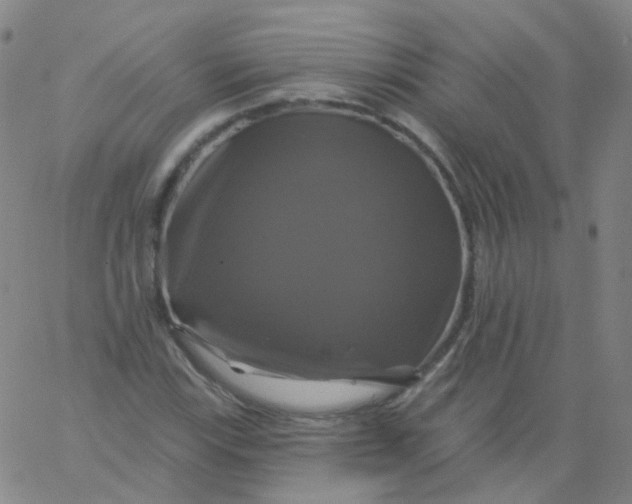 X0000061751115200512231518