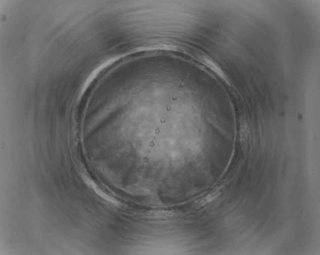 X0000061751116200512231518