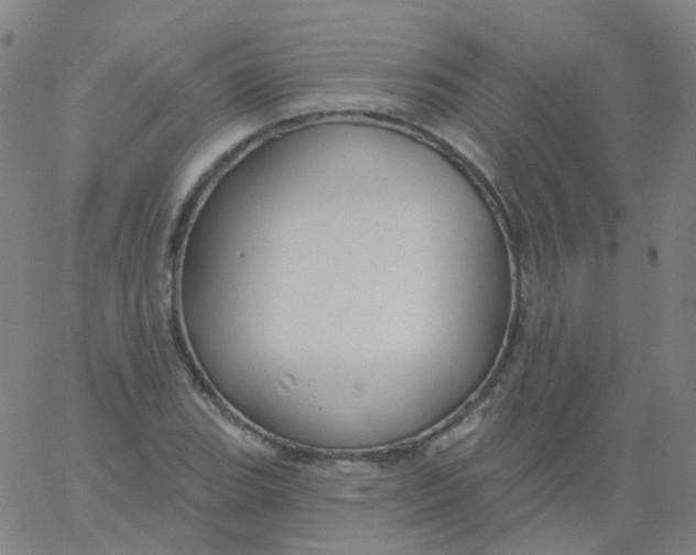 X0000061751119200512231518