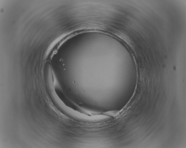 X0000061751120200512231519