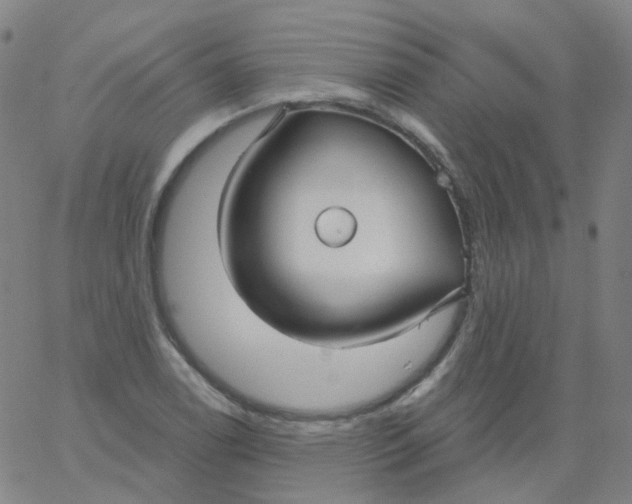 X0000061751122200512231519