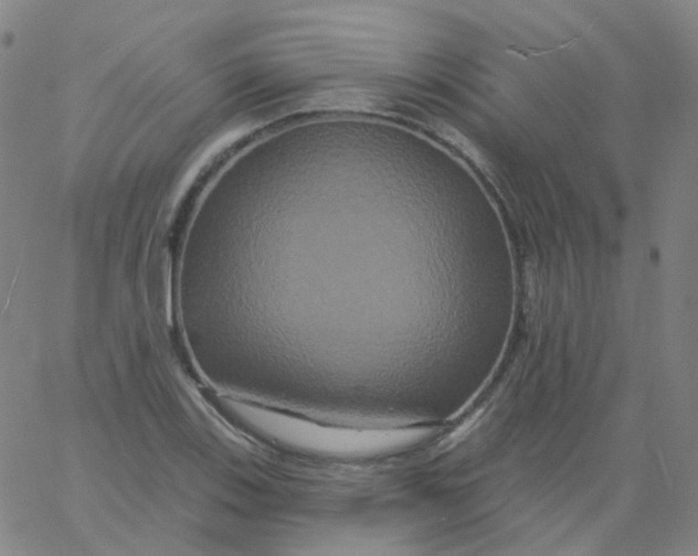 X0000061751123200512231519