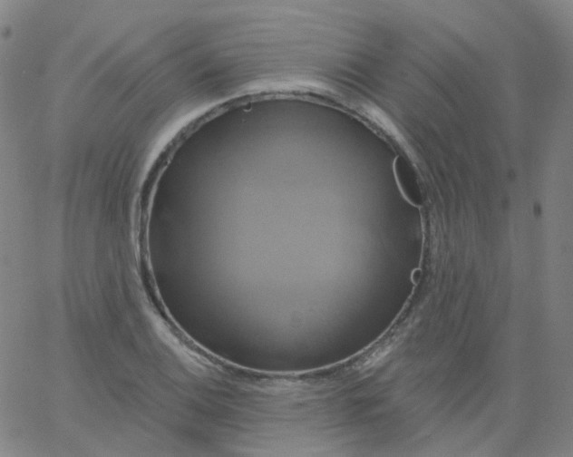 X0000061751124200512231519