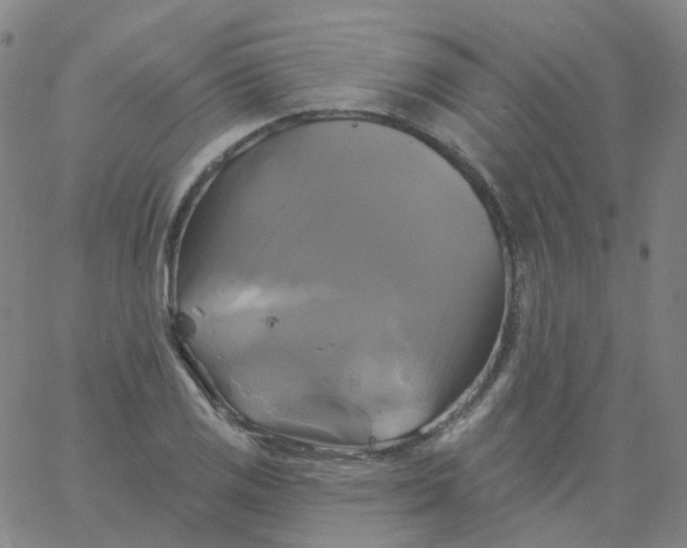 X0000061751125200512231519