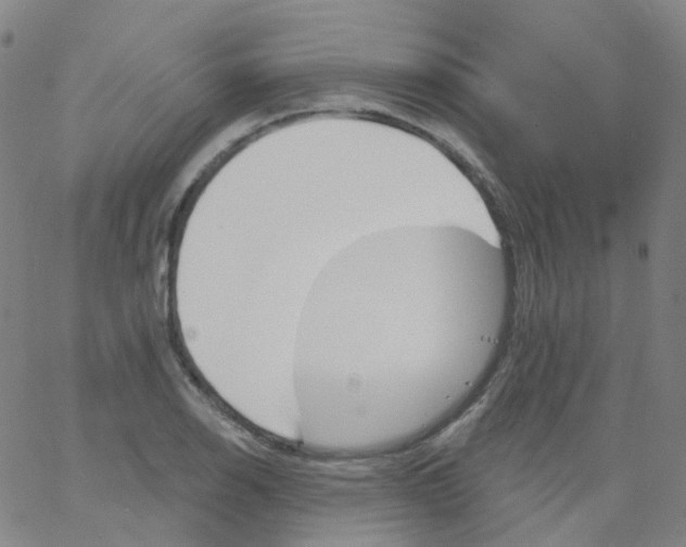 X0000061751126200512231519