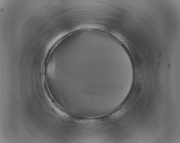 X0000061751127200512231519