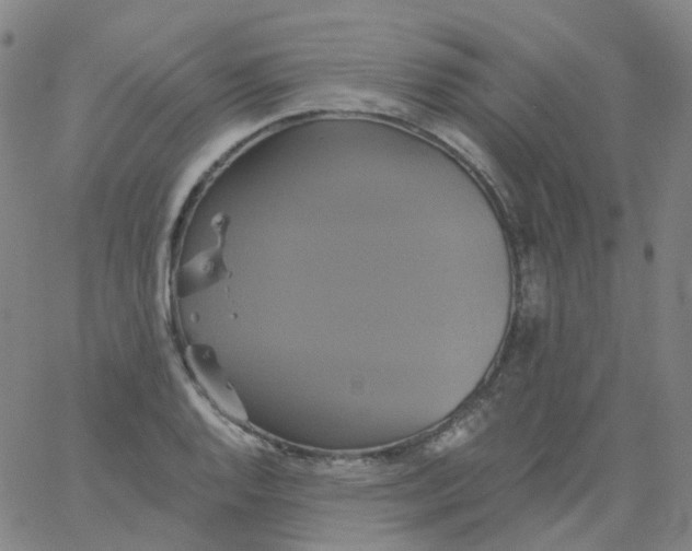 X0000061751128200512231519