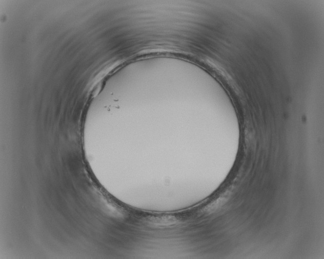 X0000061751129200512231519