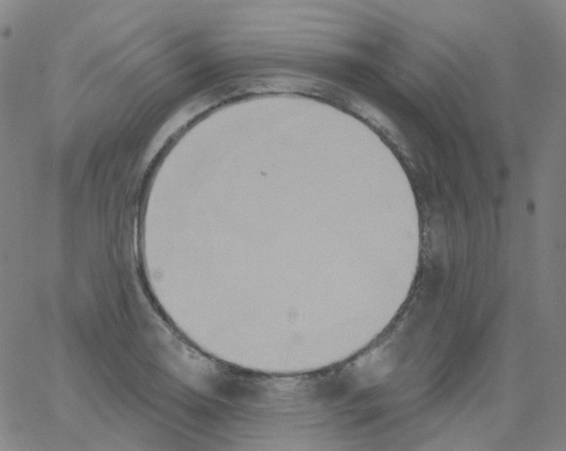 X0000061751130200512231519