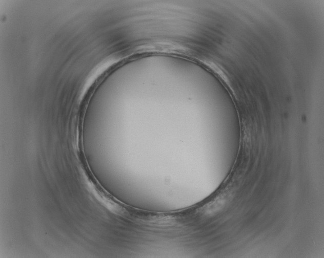 X0000061751131200512231519