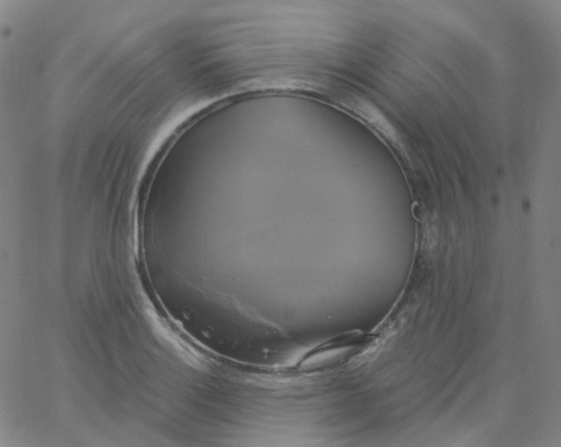 X0000061751132200512231519