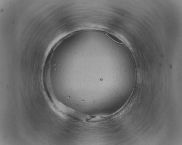 X0000061751136200512231519