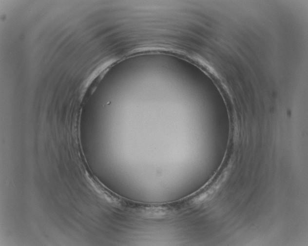 X0000061751137200512231519