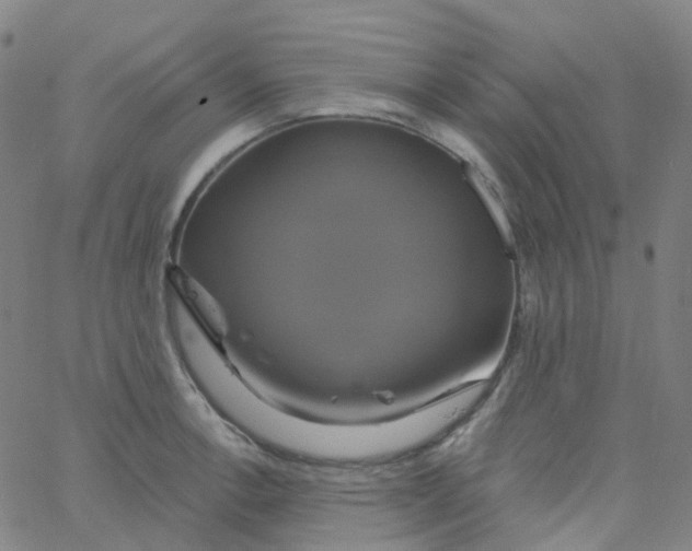 X0000061751138200512231519