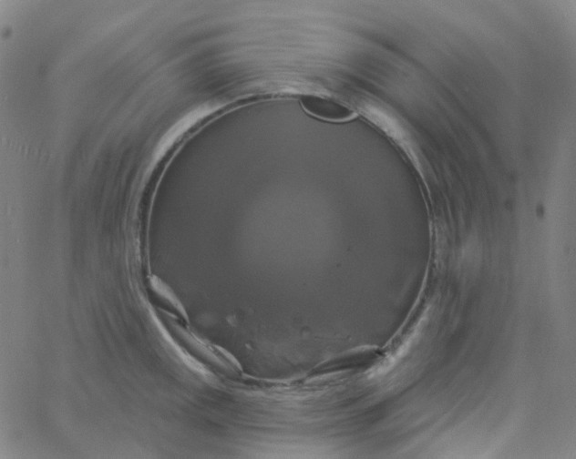 X0000061751141200512231519