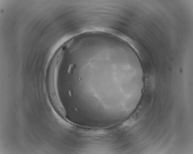 X0000061751143200512231519