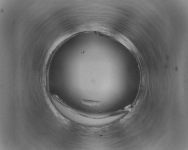 X0000061751144200512231519