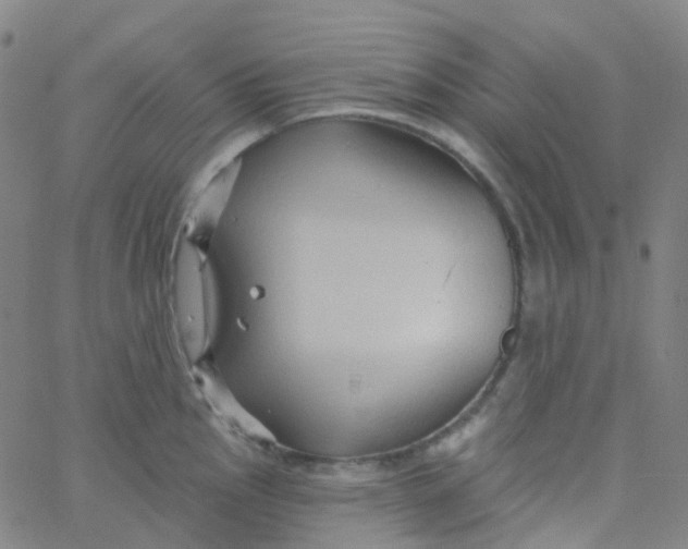 X0000061751145200512231519