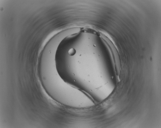 X0000061751147200512231519