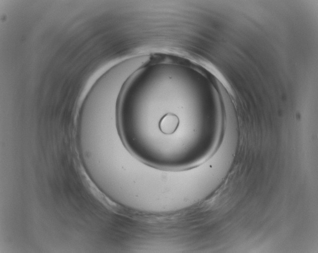 X0000061751148200512231519