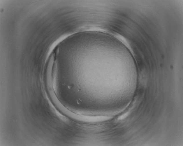 X0000061751149200512231519