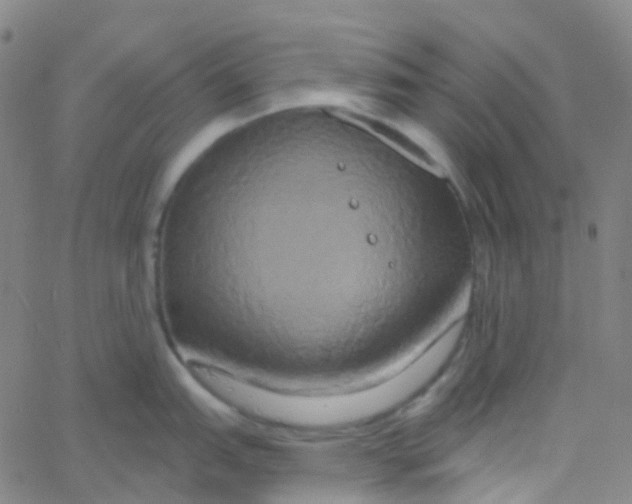 X0000061751151200512231519