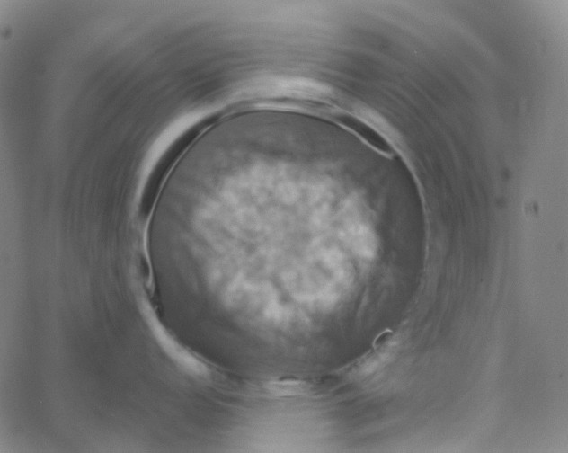 X0000061751152200512231519