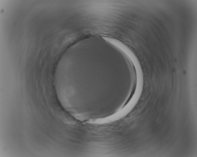 X0000061751153200512231518