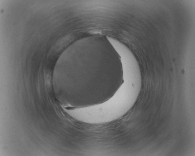 X0000061751154200512231518