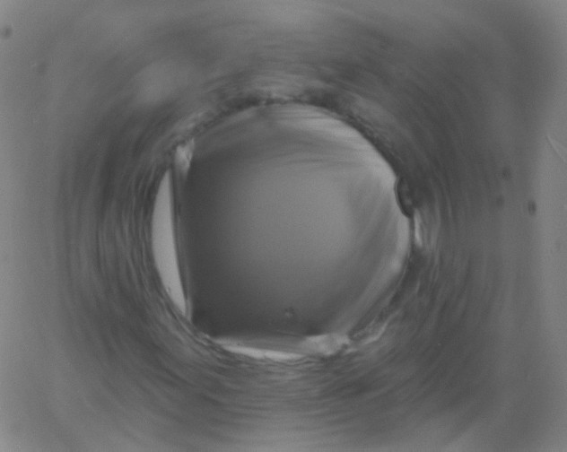 X0000061751155200512231518