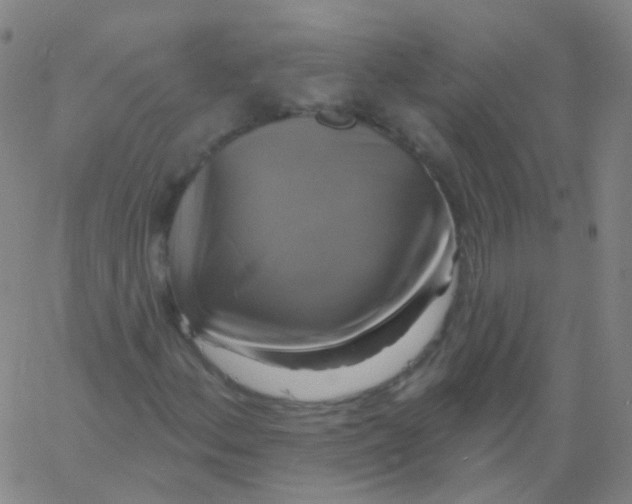 X0000061751156200512231518