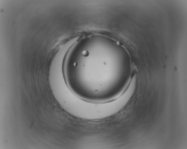 X0000061751157200512231518