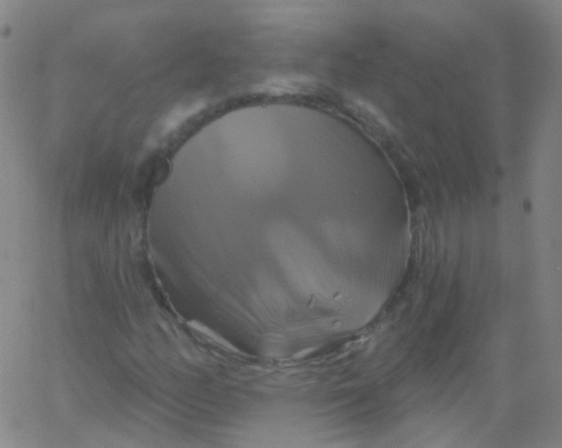 X0000061751158200512231518