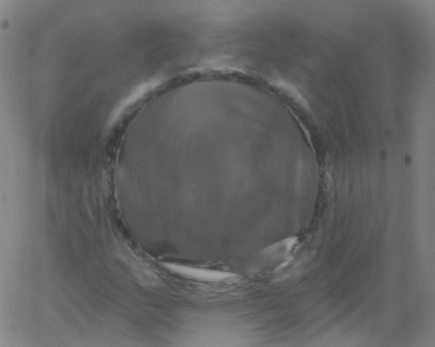 X0000061751159200512231518