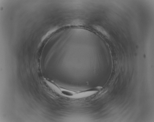 X0000061751160200512231518