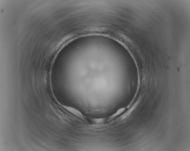 X0000061751161200512231518