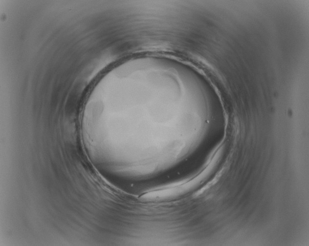 X0000061751162200512231518