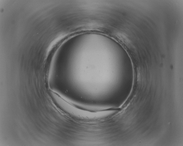 X0000061751164200512231518