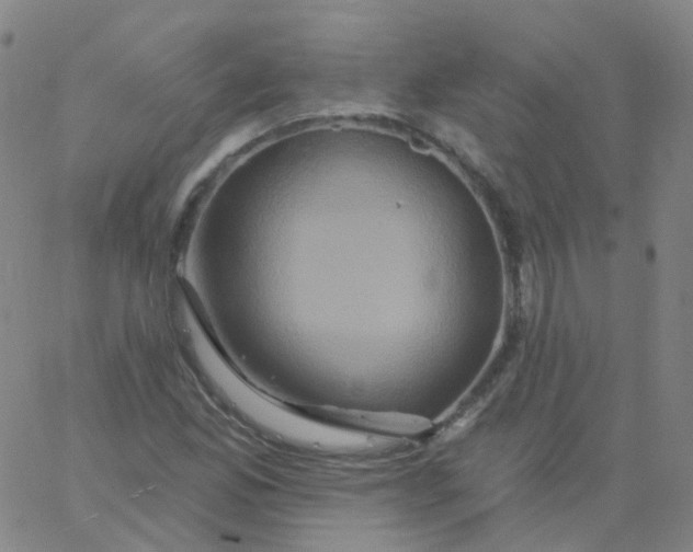 X0000061751165200512231518