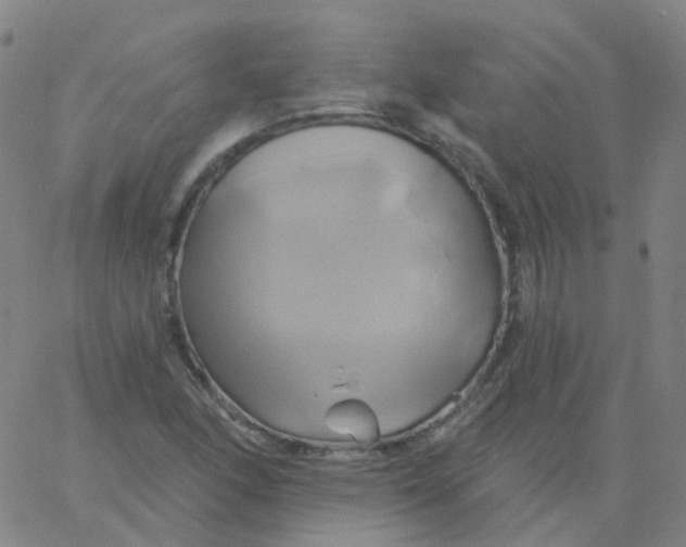 X0000061751166200512231518