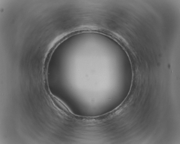 X0000061751168200512231518